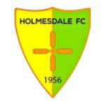Holmesdale FC Youth Logo