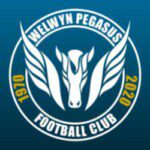 Welwyn Pegasus Youth Logo