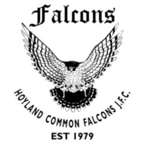 Hoyland Common Falcons