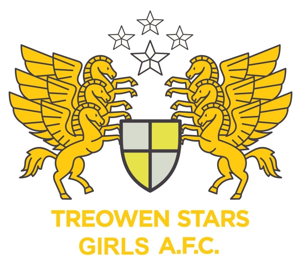 Treowen Stars Girls AFC